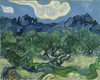 The Olive Trees by Vincent Van Gogh