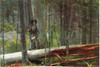 Hunter In The Adirondacks Winslow Homer