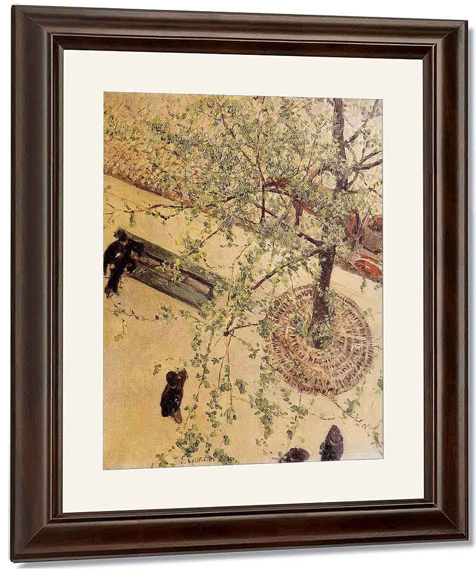 Gustave Caillebotte、希少画集画、新品高級額、額装付、状態良好 Amazon.com: Framed Fruit Displayed On A Stand by Gustave