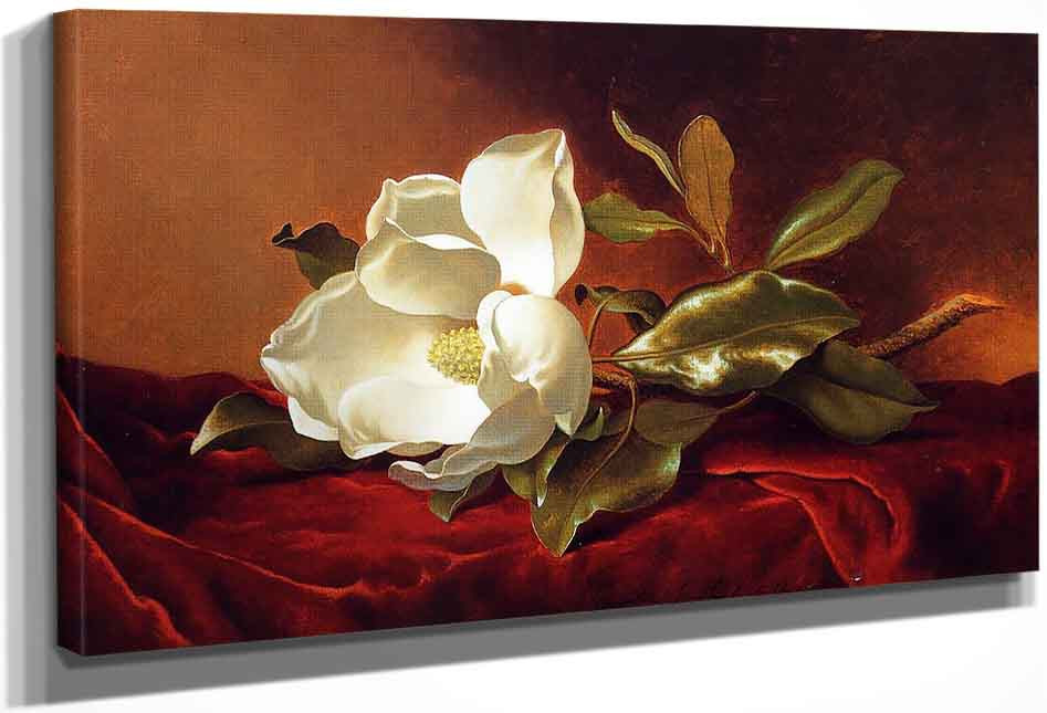 A Magnolia On Red Velvet By Martin Johnson Heade Print or Oil