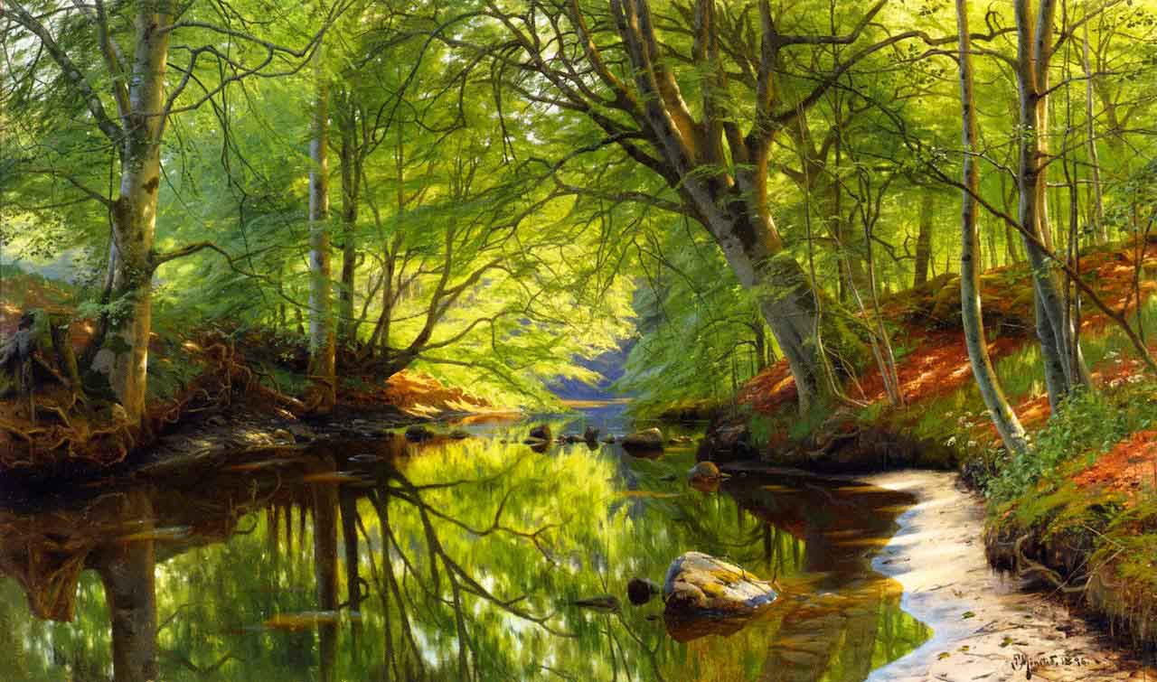 Forest Stream By Peder Mork Monsted Print or Oil Painting