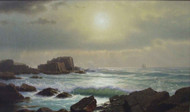 William Stanley Haseltine