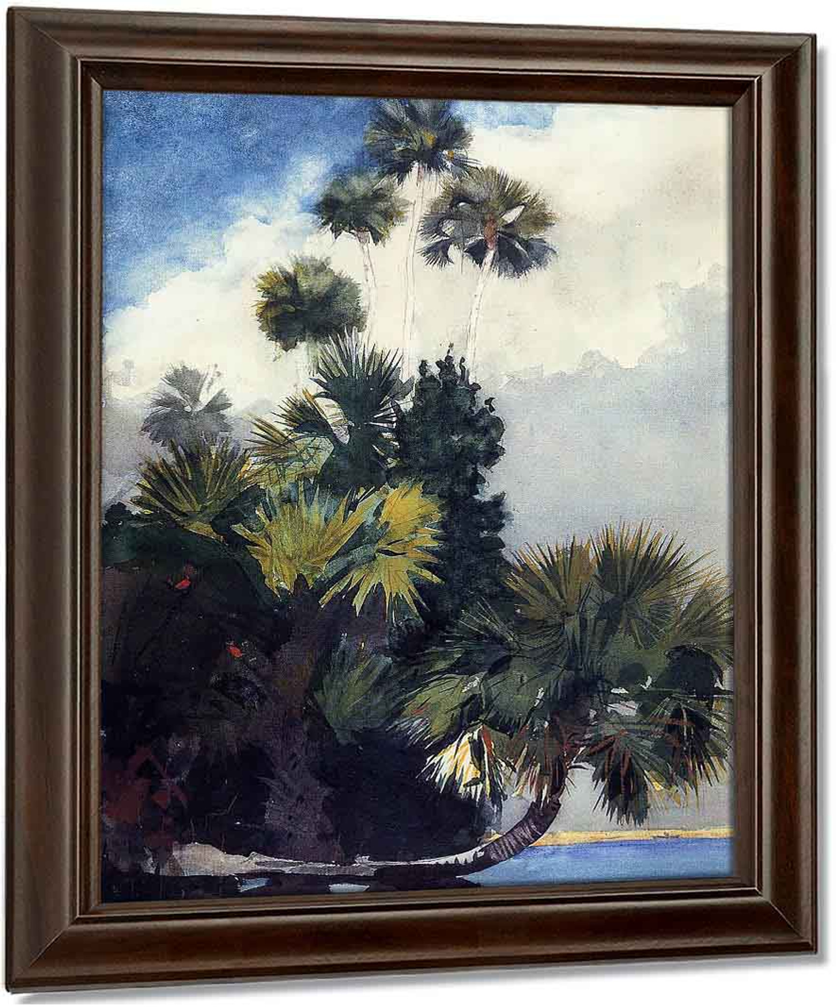 Florida by Winslow Homer Giclee Canvas Print Repro Palm Trees