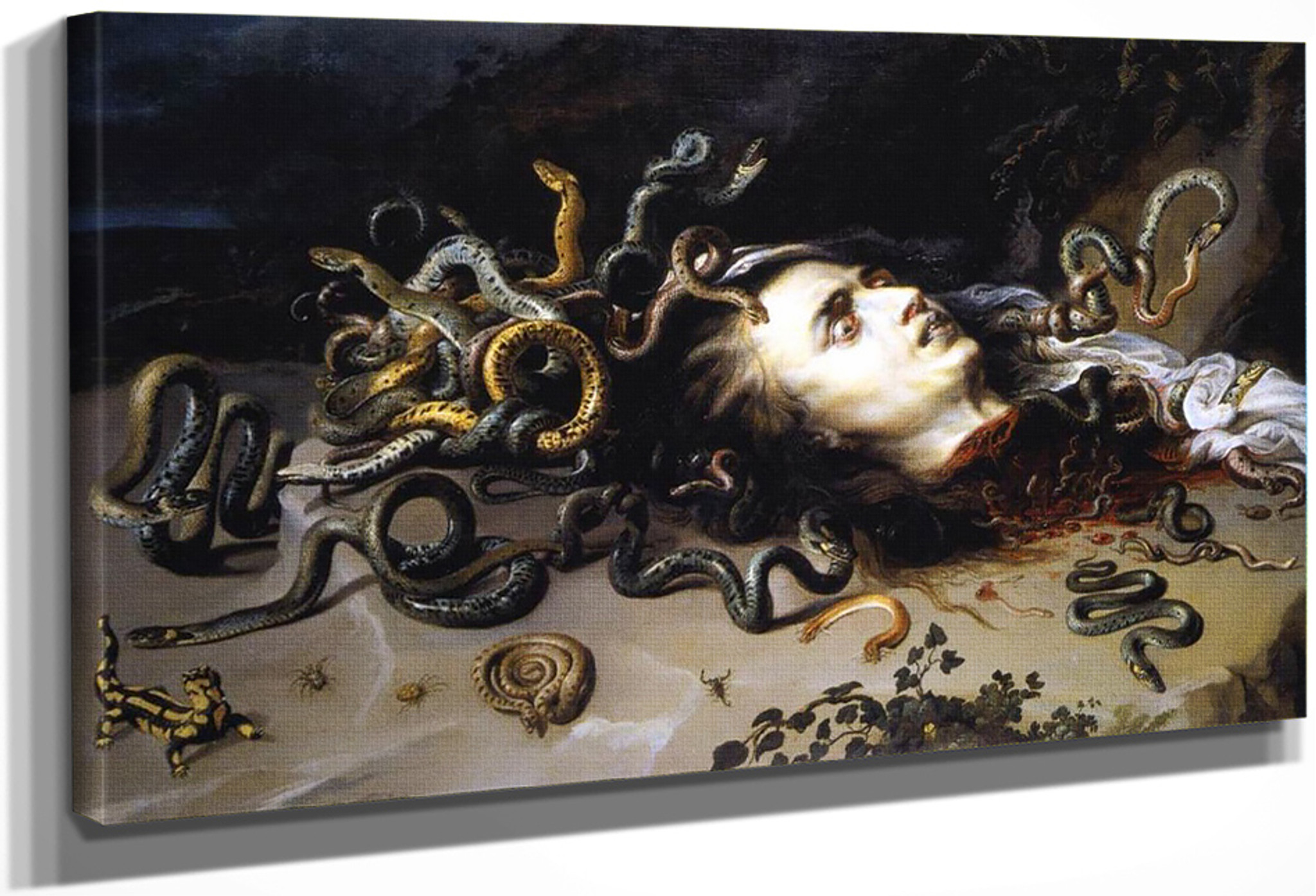 The Head Of Medusa By Peter Paul Rubens Print Or Oil Painting