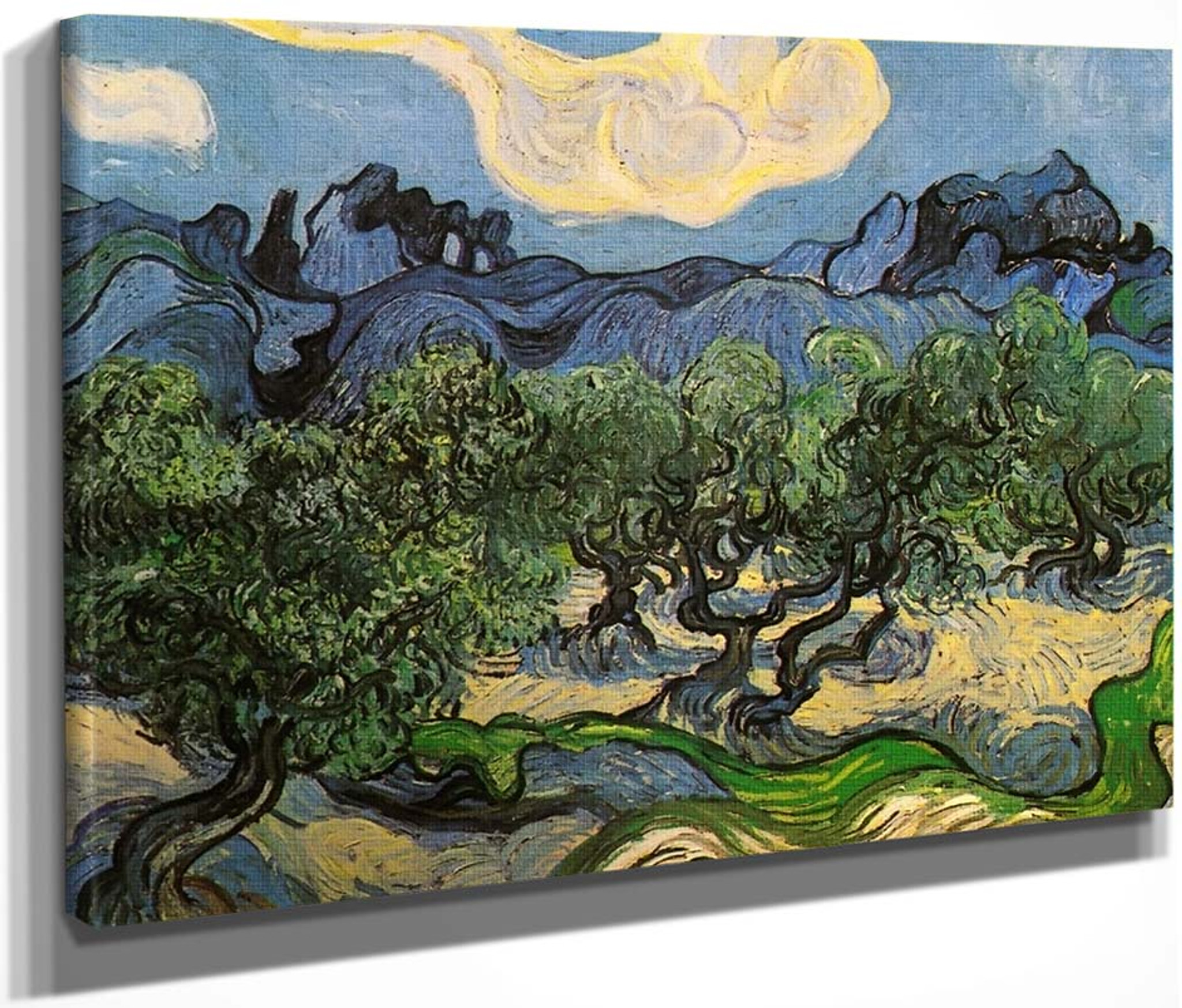 Olive Trees With The Alpilles In The Background By Vincent Van Gogh Print Or Painting Reproduction From Cutler Miles