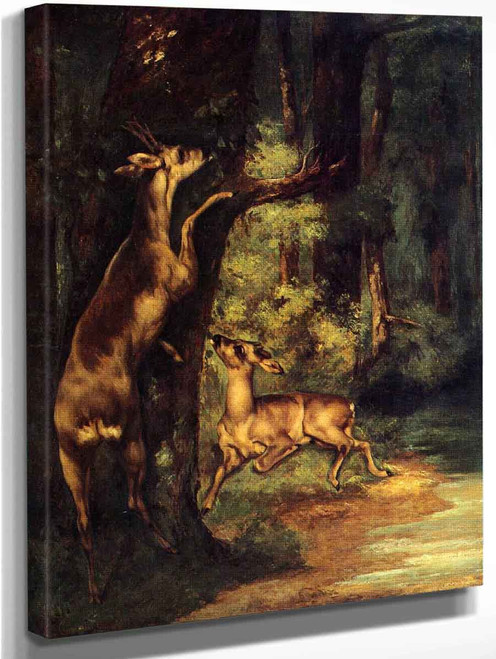 Male And Female Deer In The Woods By Gustave Courbet