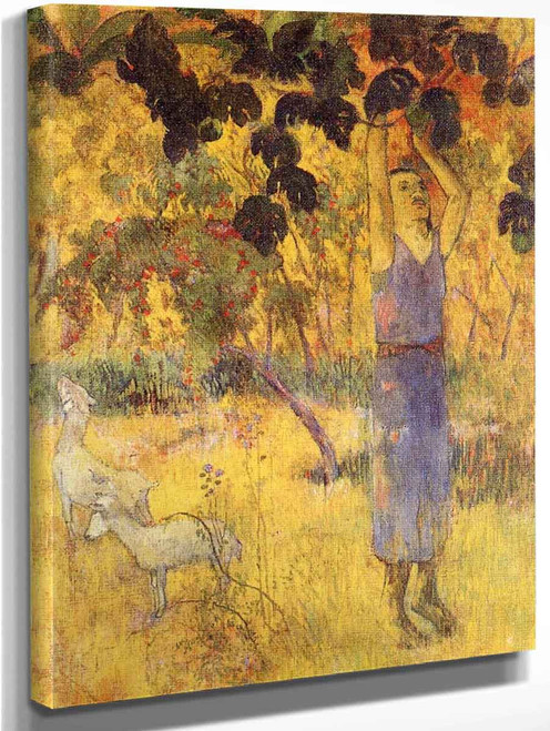 Man Picking Fruit From A Tree By Paul Gauguin