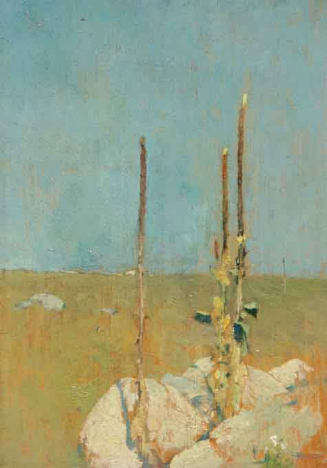 Mullein Stalks, Windham, Ct By Emil Carlsen By Emil Carlsen