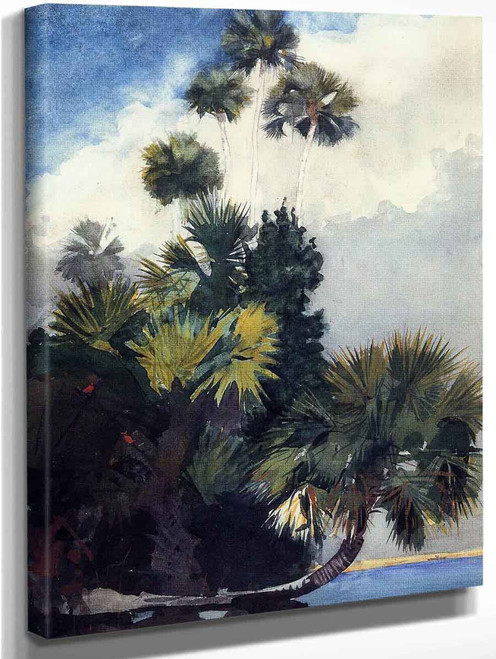 Palm Trees, Florida By Winslow Homer