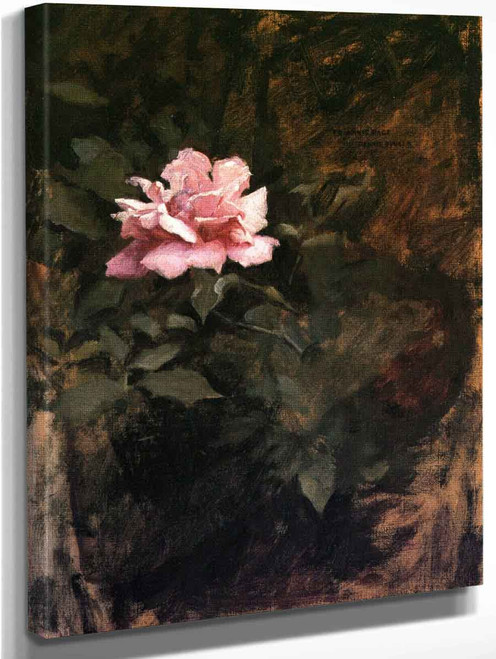 Pink Rose By Dennis Miller Bunker