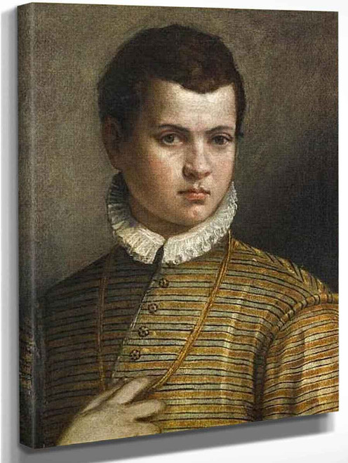 Portrait Of A Young Man By Paolo Veronese