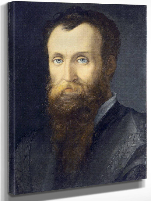 Portrait Of Luca Martini1 By Agnolo Bronzino