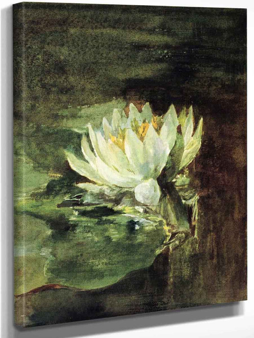 Single Water Lily In Sunlight By John La Farge By John La Farge