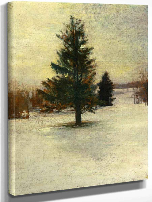 Snow, Sketch Hillside With Cedars, Evening By John La Farge By John La Farge