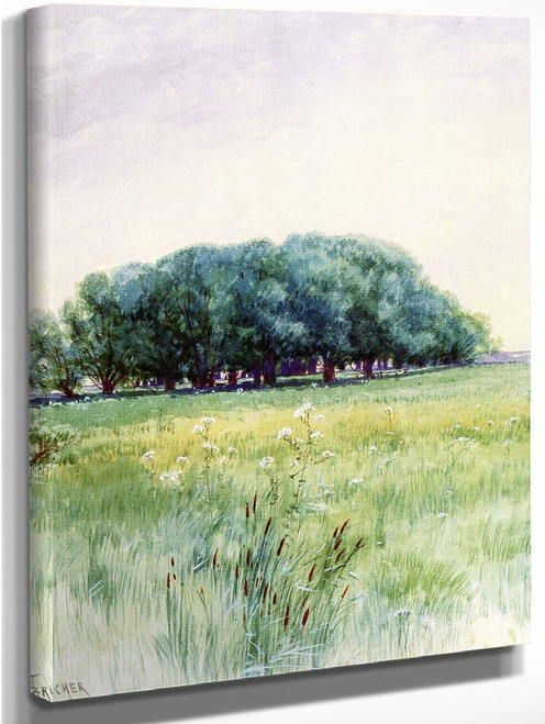 Spring Meadow With Queen Annes Lace By Alfred Thompson Bricher