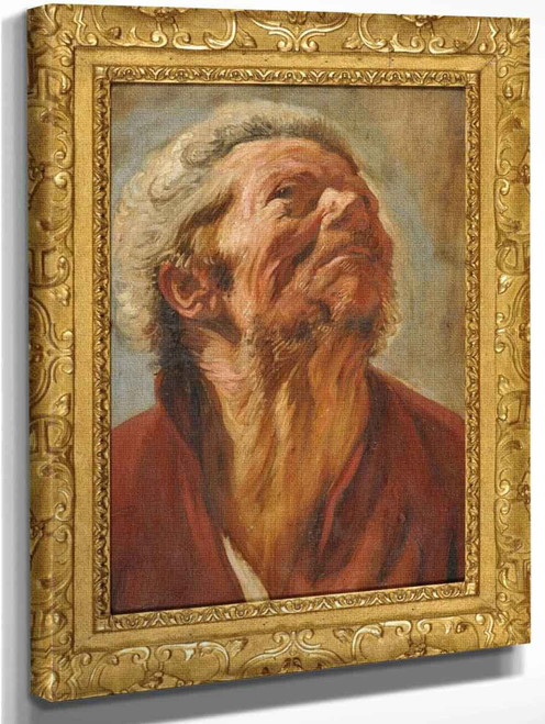 Study For The Head Of Abraham Graphius By Jacob Jordaens