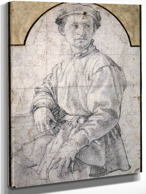 Study Of A Young Man With A Lute By Agnolo Bronzino