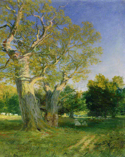 Summer Evening In Cadzow By Samuel Bough