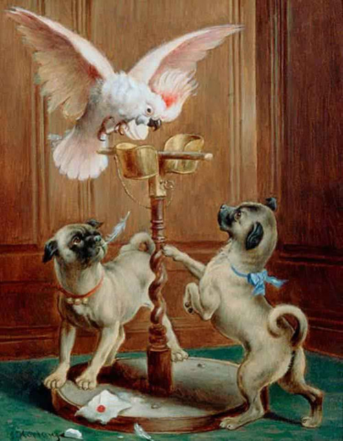 The Disturbed Cockatoo By Carl Reichert The Disturbed Cockatoo By Carl Reichert