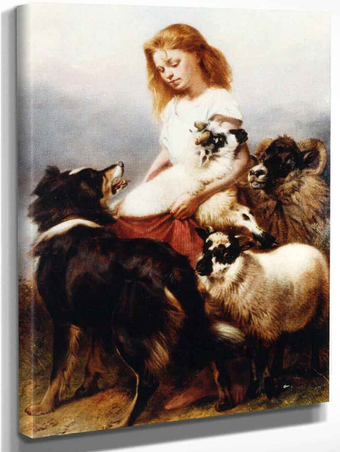 The Herd Lassie By Richard Ansdell