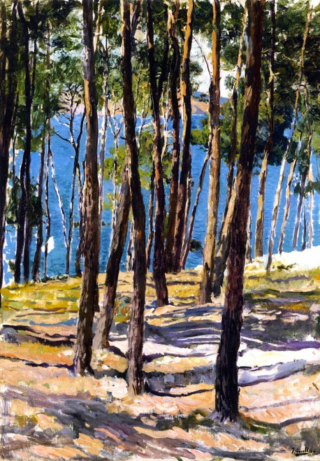 The Pines Of Galicia By Joaquin Sorolla Y Bastida The Pines Of Galicia By Joaquin Sorolla Y Bastida