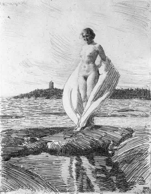 The Swan By Anders Zorn