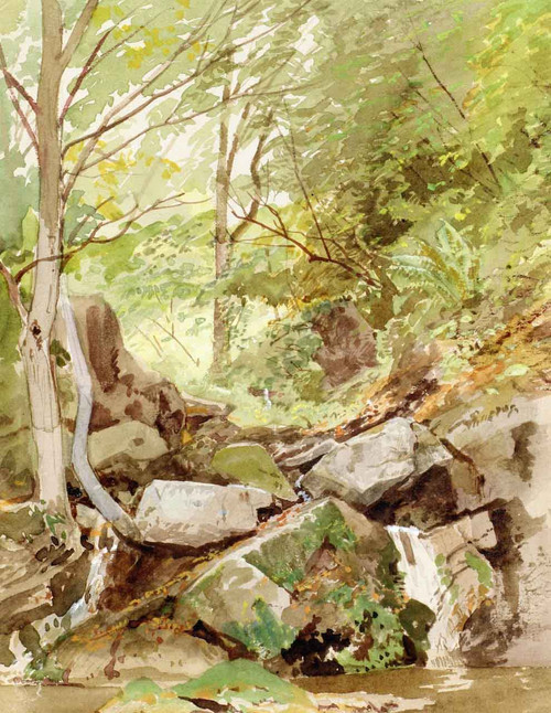Trees And Rocks By A Stream By William Trost Richards