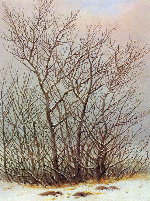 Trees Under The Snow By Caspar David Friedrich