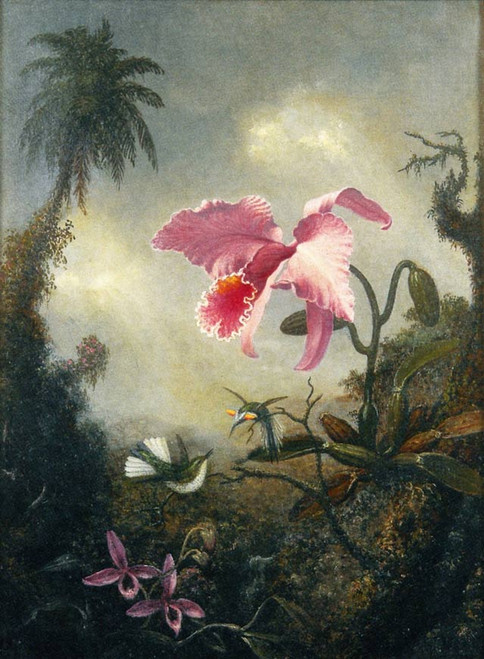 Two Hummingbirds, Two Types Of Orchids And A Palm Tree By Martin Johnson Heade