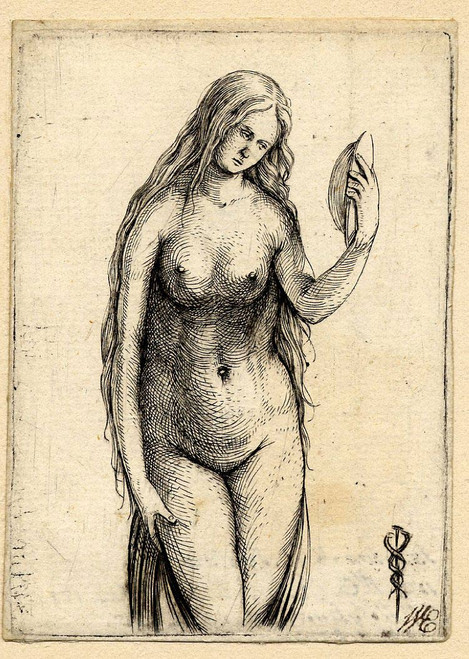 Venus, Or Vanity; A Three Quarter Length Female Nude Looking At Her Reflection In A Mirror By Jacopo Barbari  By Jacopo Barbari