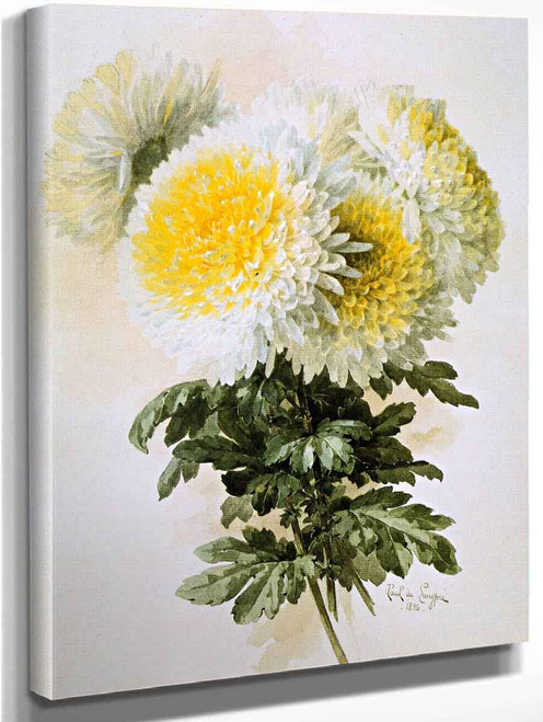 White And Yellow Mums By Raoul De Longpre By Raoul De Longpre