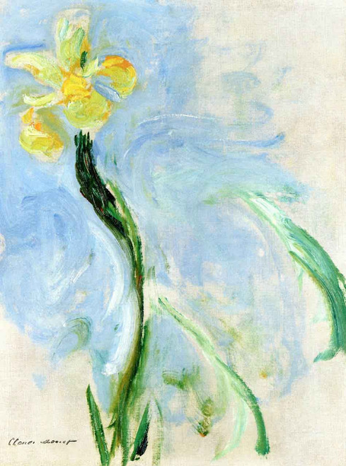 Yellow Iris By Claude Oscar Monet