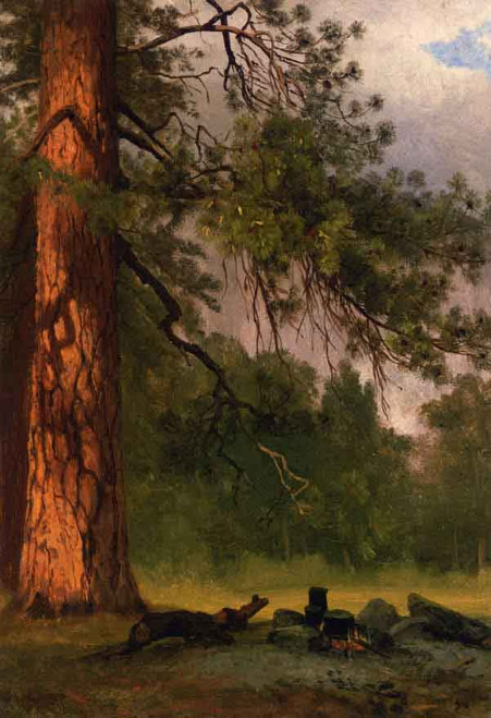 Yosemite Camp Kitchen By Albert Bierstadt Yosemite Camp Kitchen By Albert Bierstadt