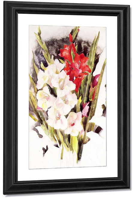Gladiolus By Charles Demuth By Charles Demuth