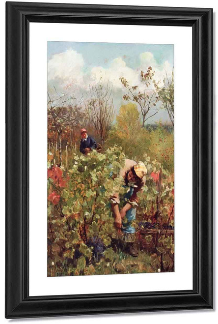 Harvesting Grapes By Daniel Ridgway Knight By Daniel Ridgway Knight