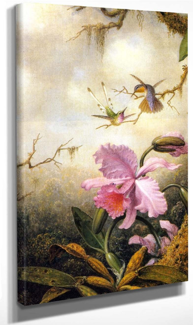 Hummingbirds And Orchids By Martin Johnson Heade