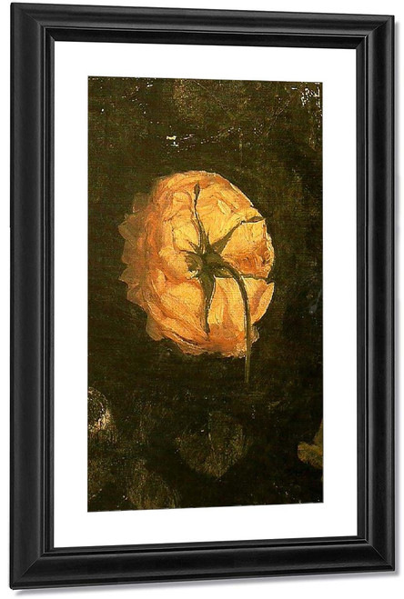 Rose By Eugene Jansson Rose By Eugene Jansson