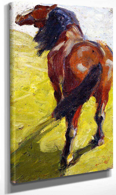 Study Of A Horse By Franz Marc By Franz Marc