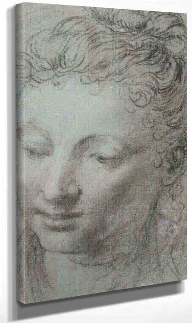 Study Of A Woman's Head By Paolo Veronese