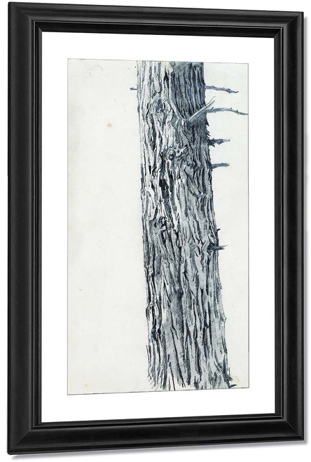Study Of Tree Bark By William Trost Richards By William Trost Richards