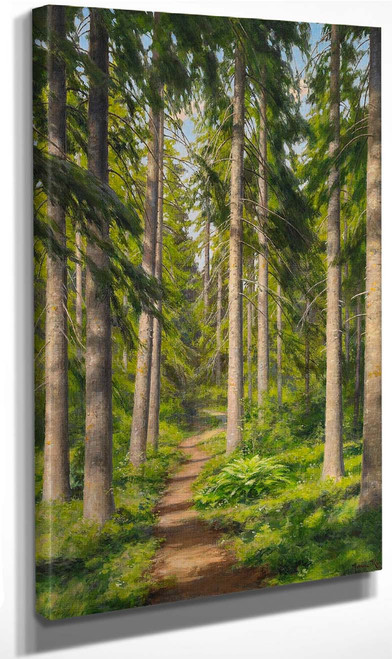 Sunlit Forest Path1 By Johan Krouthen By Johan Krouthen