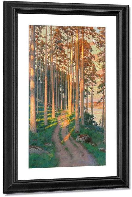 Sunlit Forest Path By Johan Krouthen By Johan Krouthen