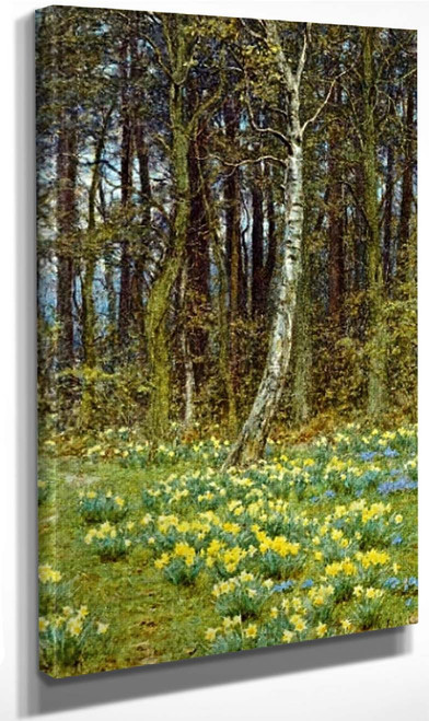The Daffodil Wood By Helen Allingham By Helen Allingham