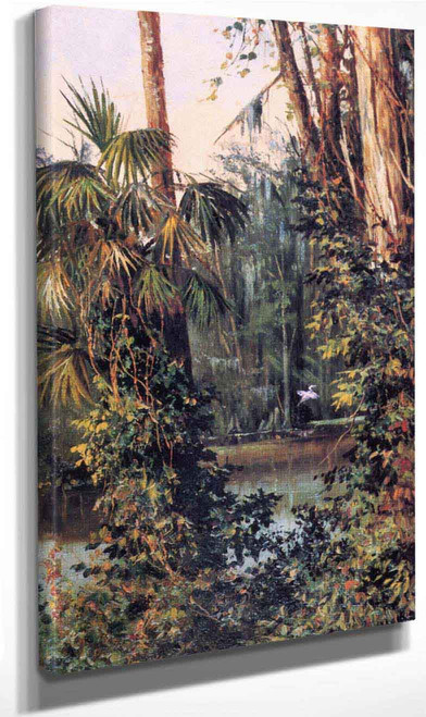 The Ocklawaha River By William Aiken Walker