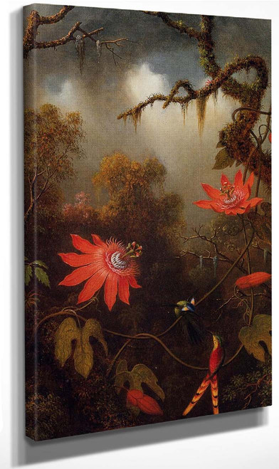 Two Hummingbirds Perched On Passion Flower Vines By Martin Johnson Heade