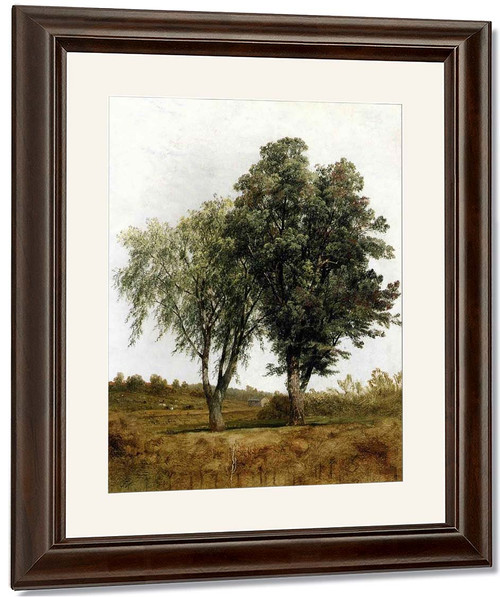 A Study Of Trees By John Frederick Kensett By John Frederick Kensett