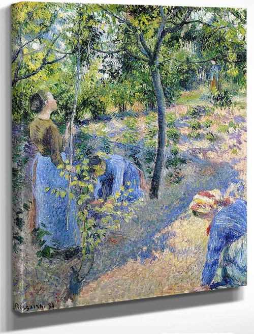 Apple Picking By Camille Pissarro By Camille Pissarro