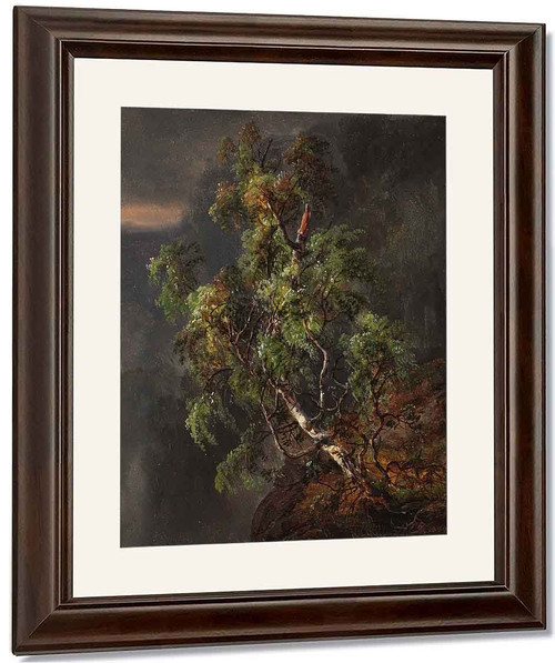 Birch Tree In A Storm By Johan Christian Dahl By Johan Christian Dahl