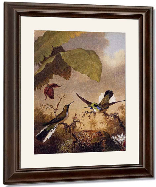 Black Eared Fairy By Martin Johnson Heade