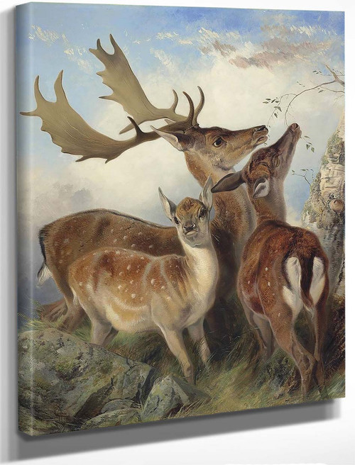 Fallow Deer By Richard Ansdell